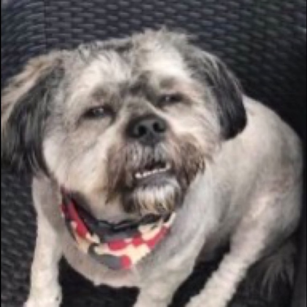 Meet your Posher, Adriana